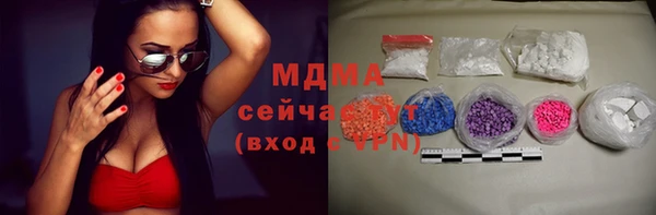 хмурый Бородино