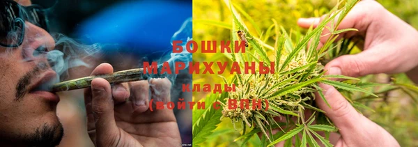 ешки Бронницы