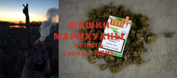 хмурый Бородино